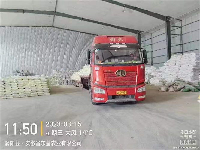 安徽省东星农业有限公司项目